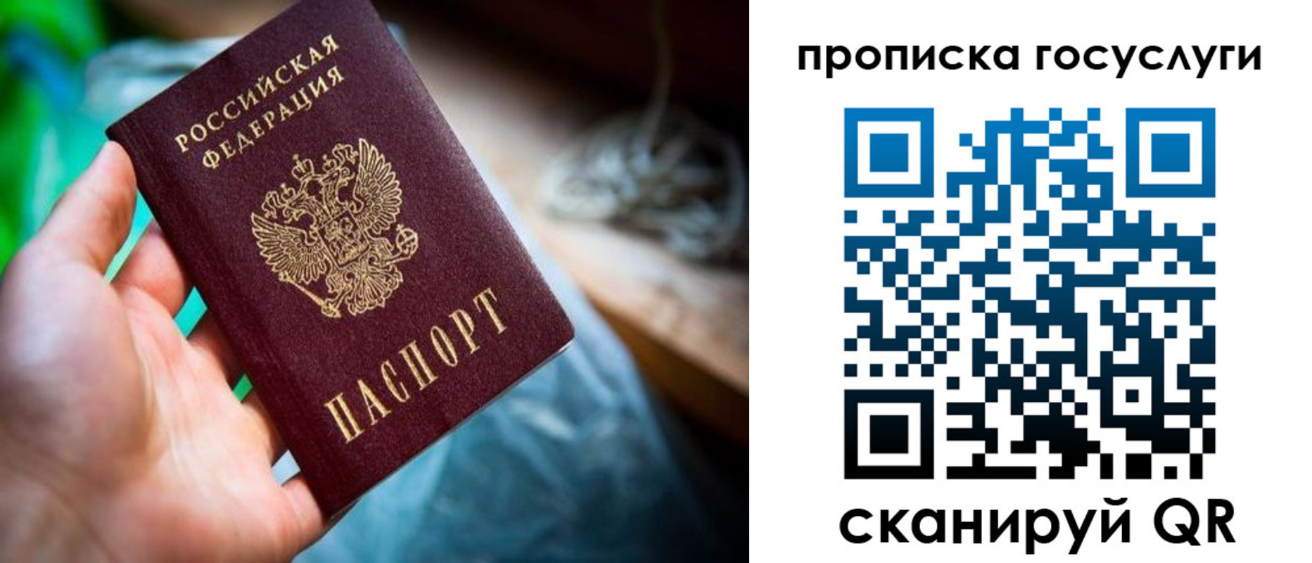 временная регистрация в квартире в Кировске